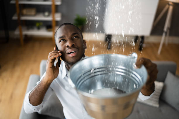 Best 24/7 water damage repair  in Pine Island, TX