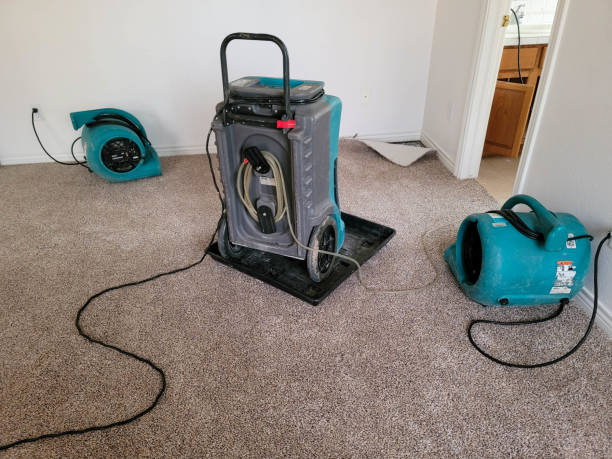  Pine Island, TX Water damage restoration Pros