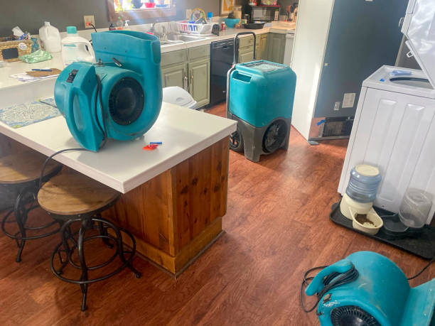 Best Flood damage cleanup  in Pine Island, TX