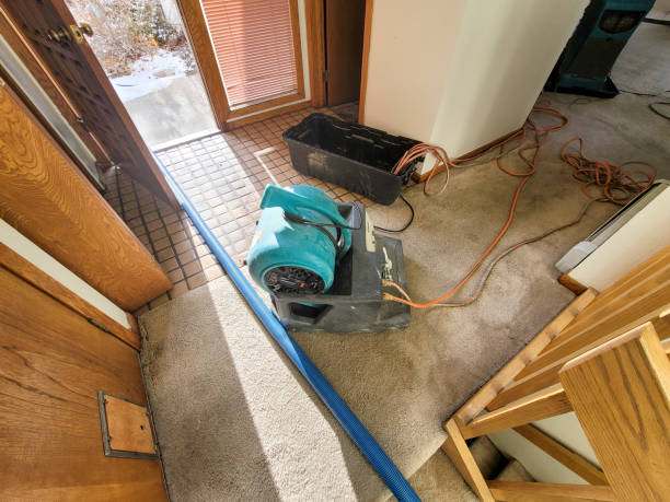 Best Emergency water damage restoration  in Pine Island, TX