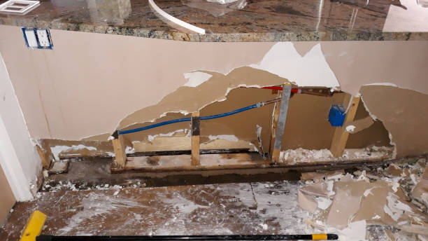 Best Local water damage restoration  in Pine Island, TX