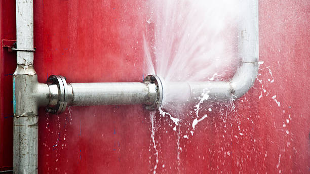 Best Water damage restoration experts  in Pine Island, TX